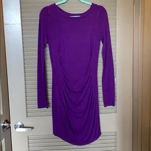 Express Purple Dress